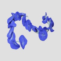 20 Flower Garland Scarf Cobalt Blue